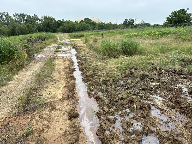 Environmental damage