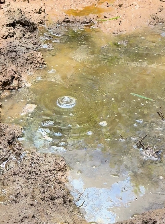 Video 3 Thumbnail